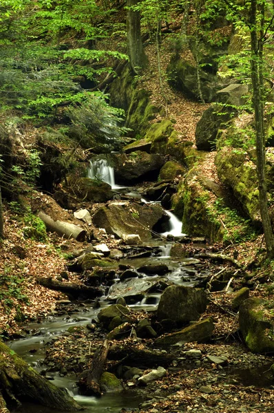 Mountain stream in the spring forest. Juicy bright leaves on the trees, stones and a cascading stream. Forest spring landscape