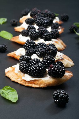 Krem peynir ve böğürtlen karanlık bir yüzeyi ile tost. Mevsim yaz sandviç. Makro çekim