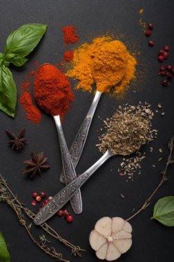 Baharat ve baharat (zerdeçal, kekik, kırmızı biber) karanlık yere kaşıklarla. Diğer otlar ve çeşniler yanındaki