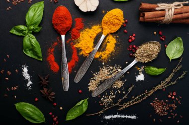 Baharat ve baharat (zerdeçal, kekik, kırmızı biber) karanlık yere kaşıklarla. Diğer otlar ve çeşniler yanındaki