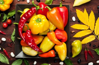 Bir kare plaka üzerinde farklı çeşitlerinin sarı ve kırmızı biber. Çiğ sebze. Hasat gıda