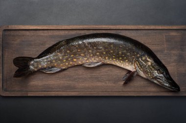 Çiğ balık (pike) kahverengi kesme tahtası, siyah arka plan.