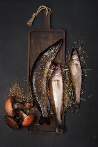 (Pike ve pikeperch) çiğ balık kahverengi kesme tahtası siyah bir arka plan üzerinde. Metin için yer