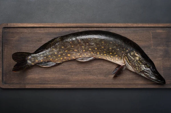 Çiğ balık (pike) kahverengi kesme tahtası, siyah arka plan.