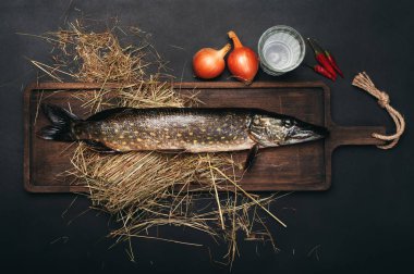 Bir çorba Rus tarzı yemek pişirmek için ayarla. Yanında bir bardak votka, acı biber, soğan kahverengi kesme tahtası üzerinde çiğ balık (pike). Siyah arka plan.