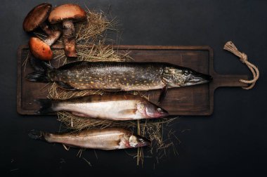 (Pike ve pikeperch) çiğ balık kahverengi kesme tahtası siyah bir arka plan üzerinde. Metin için yer