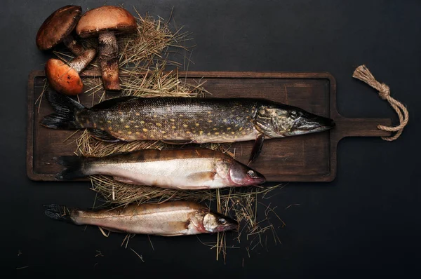 (Pike ve pikeperch) çiğ balık kahverengi kesme tahtası siyah bir arka plan üzerinde. Metin için yer