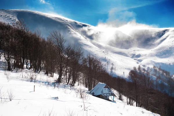 Montagne Nella Neve Contro Cielo Azzurro Brillante Tempo Soleggiato Pylypets — Foto Stock