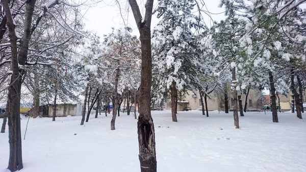 인생에서 — 스톡 사진