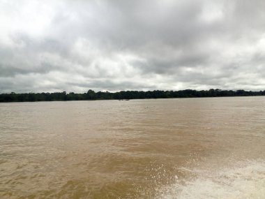 Brezilya'da Amazon Nehri 