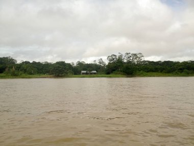 Brezilya'da Amazon Nehri 