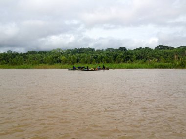 Brezilya'da Amazon Nehri 