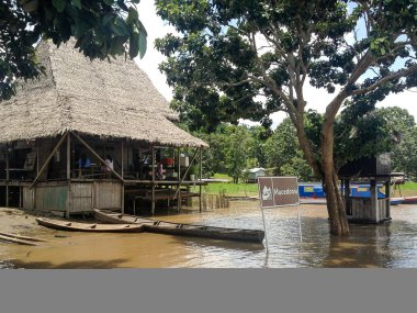 Brezilya'da Amazon Nehri 