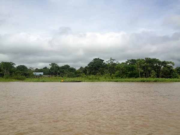 Басейні Річки Амазонки Бразилії — стокове фото