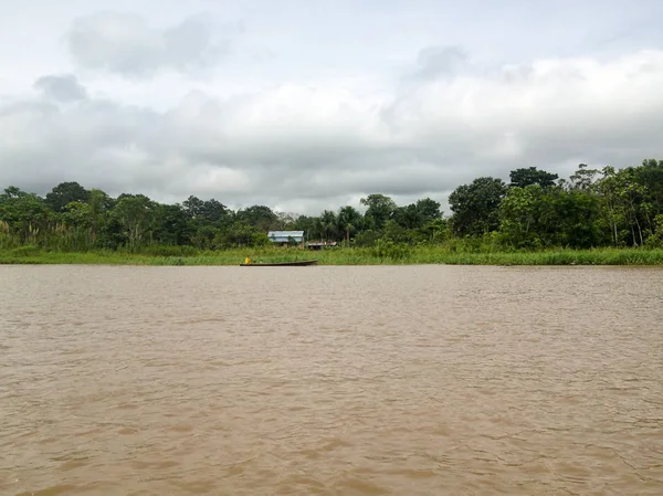 Brezilya Amazon Nehri — Stok fotoğraf