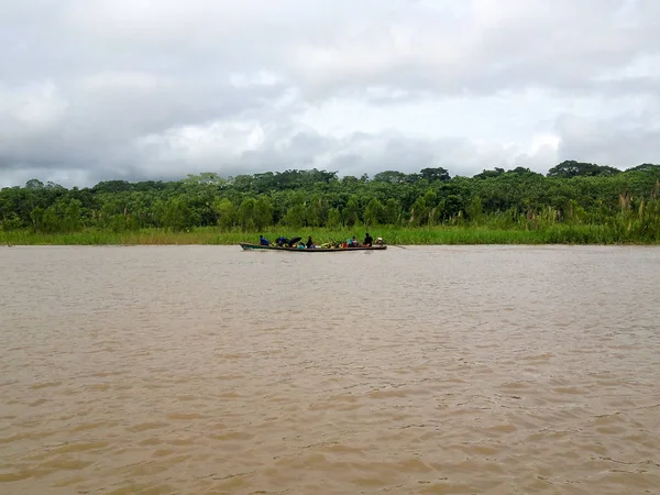 Brezilya'da Amazon Nehri 