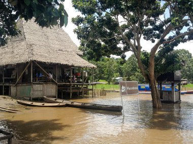 Brezilya'da Amazon Nehri 