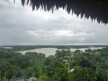 Brezilya'da Amazon Nehri 