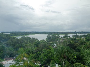 Brezilya'da Amazon Nehri 