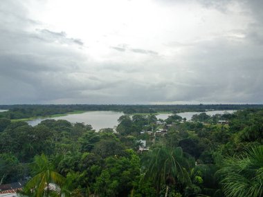 Brezilya'da Amazon Nehri 