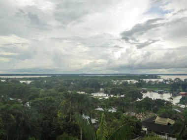 Brezilya'da Amazon Nehri 