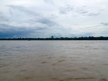 Brezilya'da Amazon Nehri 