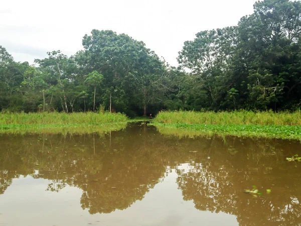 Amazon River Brasil — Stock Photo, Image