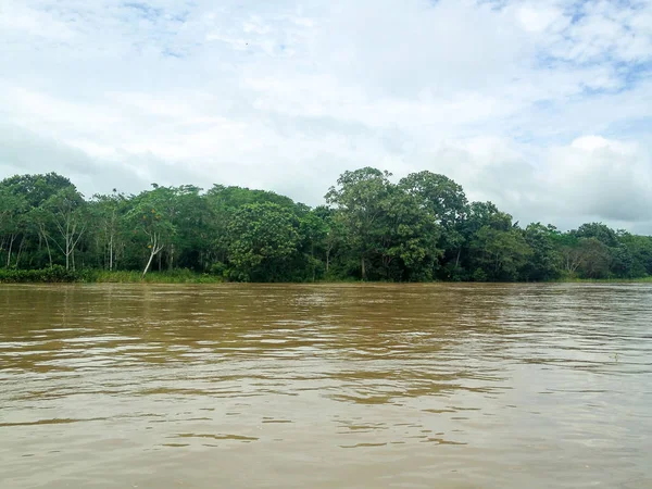 Brezilya Amazon Nehri — Stok fotoğraf