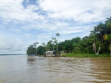 Brezilya'da Amazon Nehri 