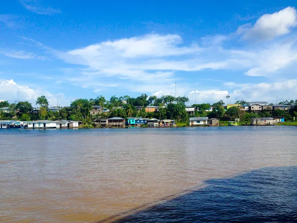 Brezilya'da Amazon Nehri 