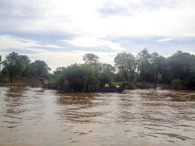 Bu saf bir hayattır