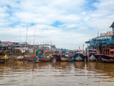 Bu saf bir hayattır