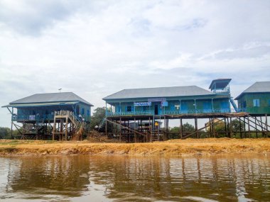 Bu saf bir hayattır