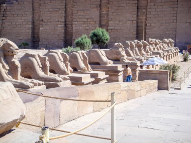 Lüks Mısır 'daki karnak tapınağı
