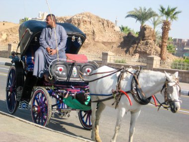 Lüks Mısır 'daki karnak tapınağı 