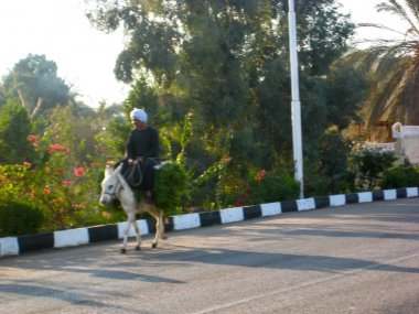 Lüks Mısır 'daki karnak tapınağı 