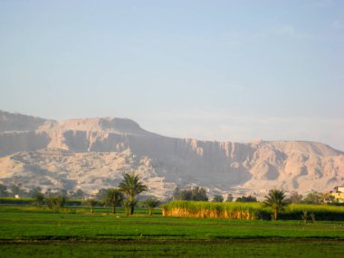Lüks Mısır 'daki karnak tapınağı 