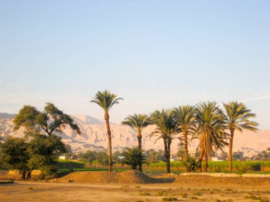 Lüks Mısır 'daki karnak tapınağı 