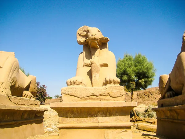 Templo de Karnak en Luxor — Foto de Stock