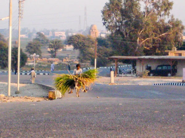 Chrám Karnaka Luxusním Městě Egypt — Stock fotografie