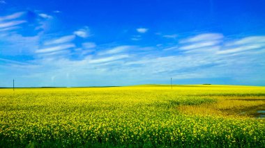 Beyaz Rusya ülke Avrupa'nın