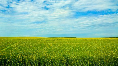 Beyaz Rusya ülke Avrupa'nın