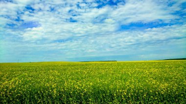 Beyaz Rusya ülke Avrupa'nın