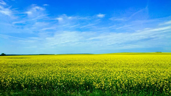 Beyaz Rusya ülke Avrupa'nın