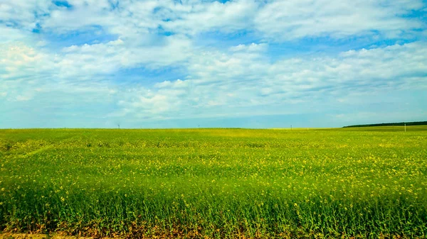 Beyaz Rusya ülke Avrupa'nın