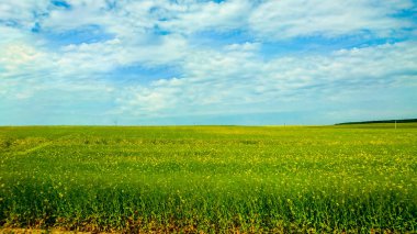 Brest şehir Beyaz Rusya