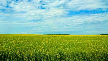 Brest şehir Beyaz Rusya