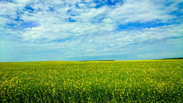 Brest şehir Beyaz Rusya