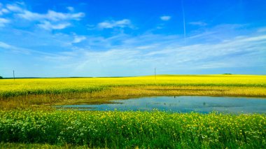 Brest şehir Beyaz Rusya