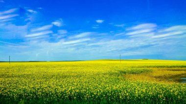 Brest şehir Beyaz Rusya